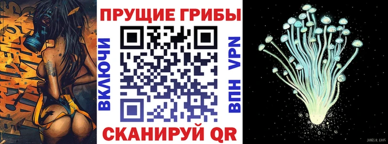Галлюциногенные грибы MAGIC MUSHROOMS  omg   Шагонар  наркота 